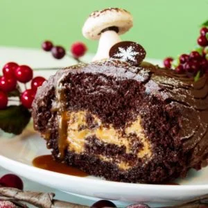 Yule Cake