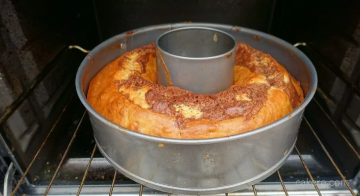 Cake in Pan