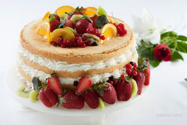 fruit cake