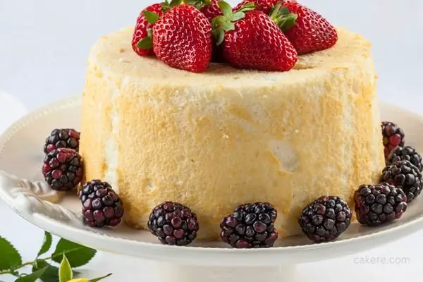 Food-Cake