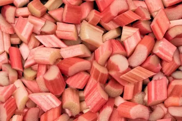 Rhubarb