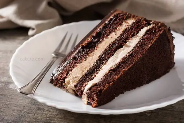 Vegan Chocolate Cake Recipe