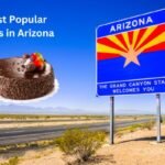 Most Popular Cakes in Arizona