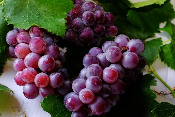 Grapes