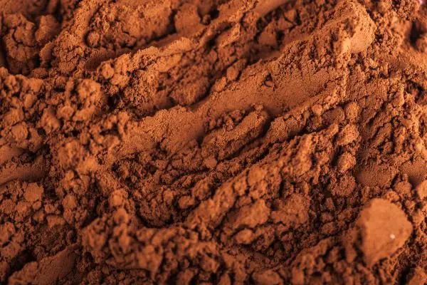 Hot Chocolate Powder